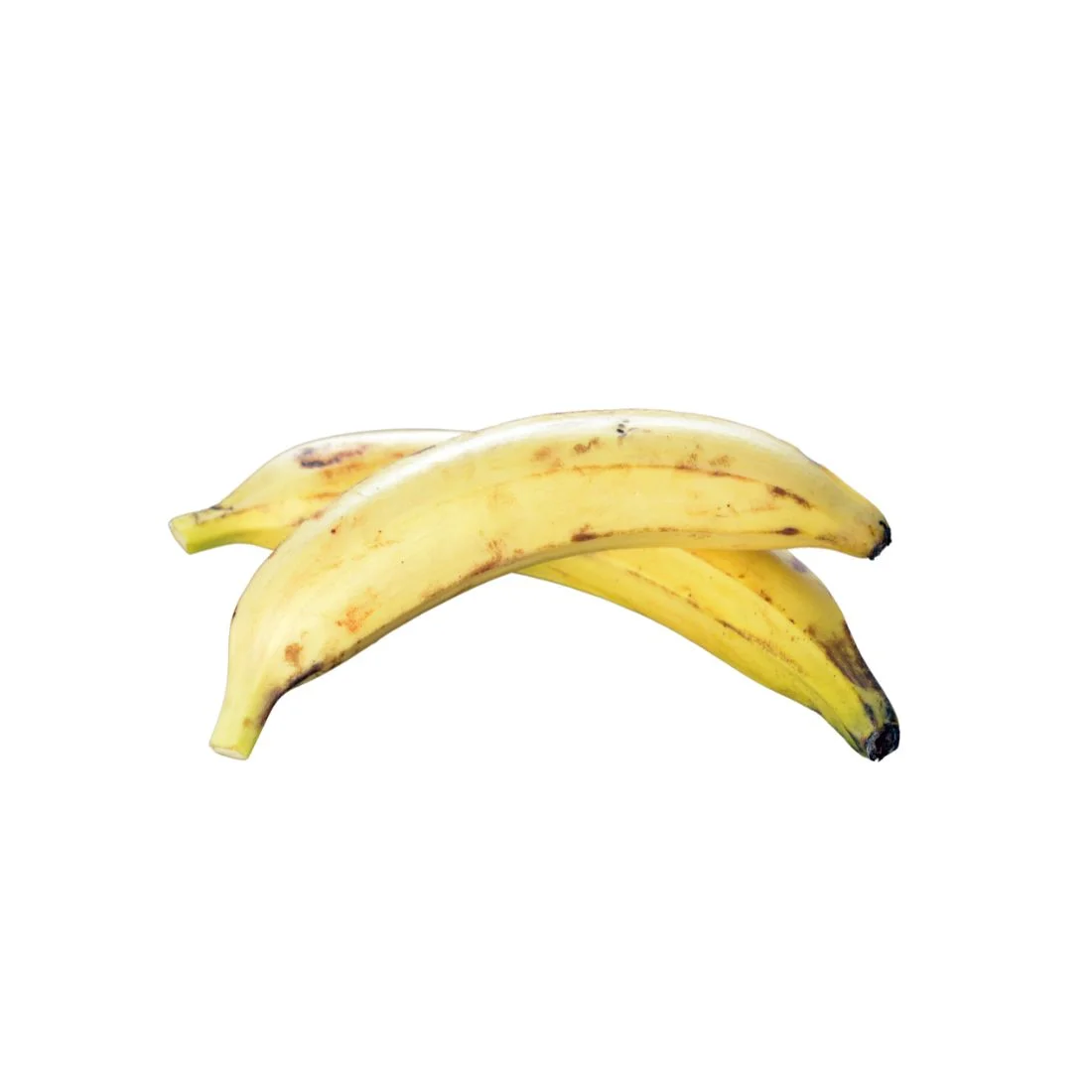 Plátano Macho